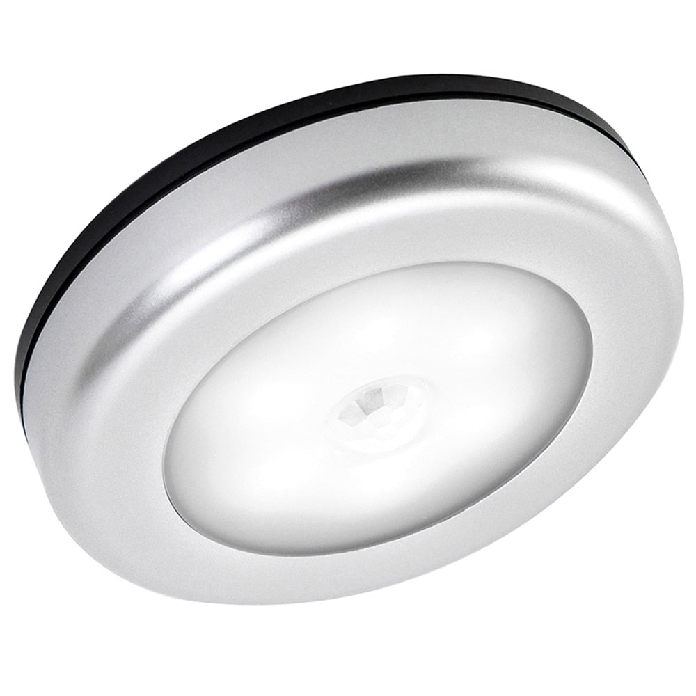 Motion Sensor Light