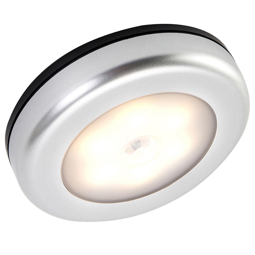 Motion Sensor Light